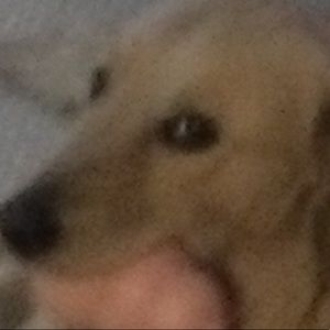 Meet your Posher, Anna